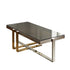 Native Home Lifestyle Nexus Gold And Silver Coffee Table